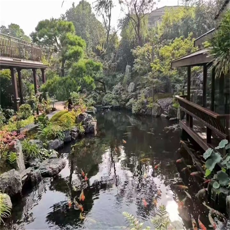 北京小庭院假山鱼池